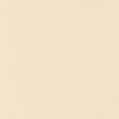Premium cotton beige